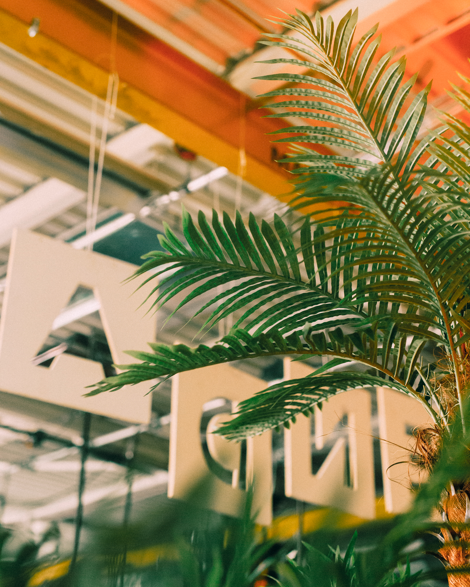 Levensechte kunstplanten gebruikt als decoratie op diverse evenementen, die zorgen voor een stijlvolle en onderhoudsvrije groene sfeer.
				  