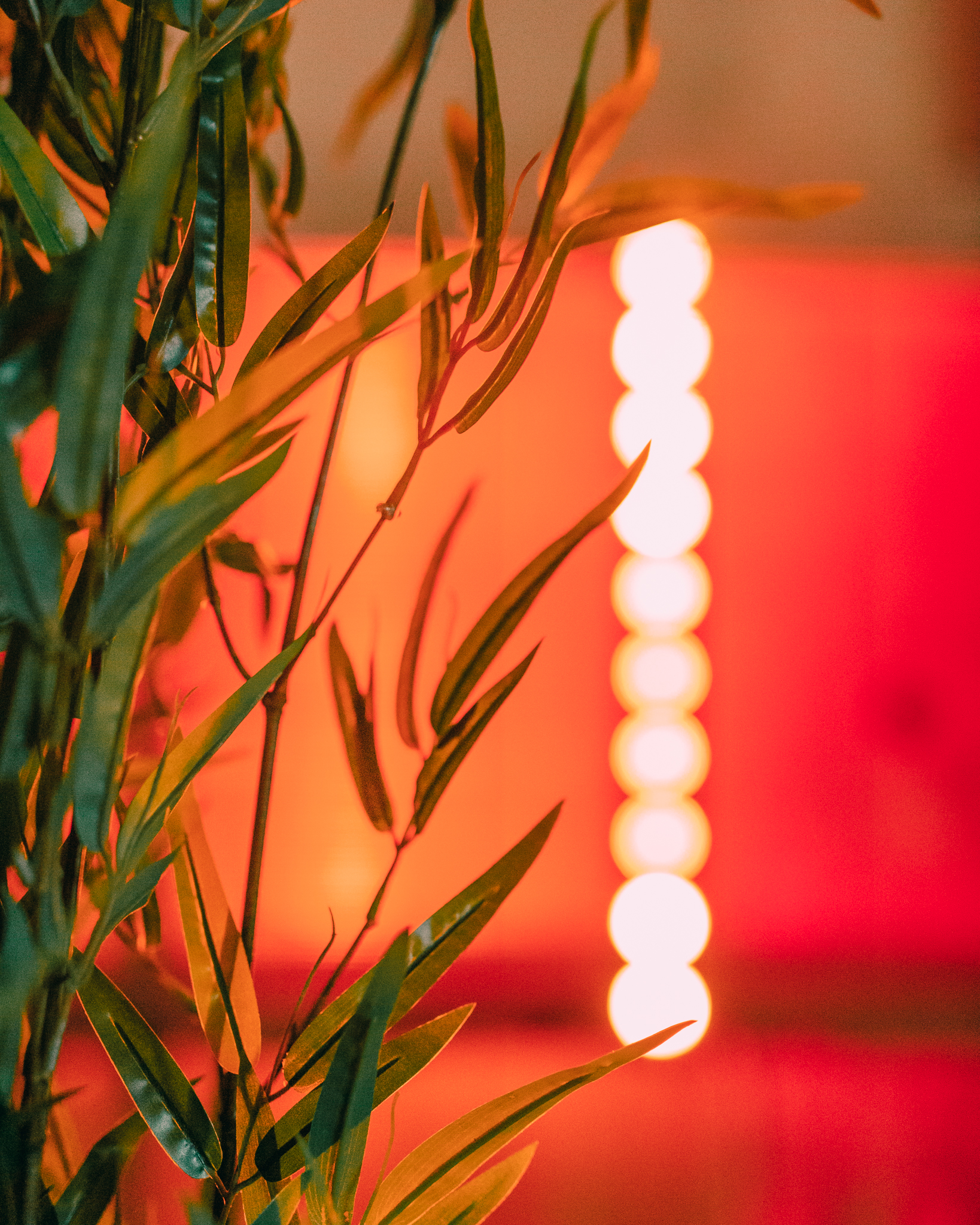 Levensechte kunstplanten gebruikt als decoratie op diverse evenementen, die zorgen voor een stijlvolle en onderhoudsvrije groene sfeer.
			  