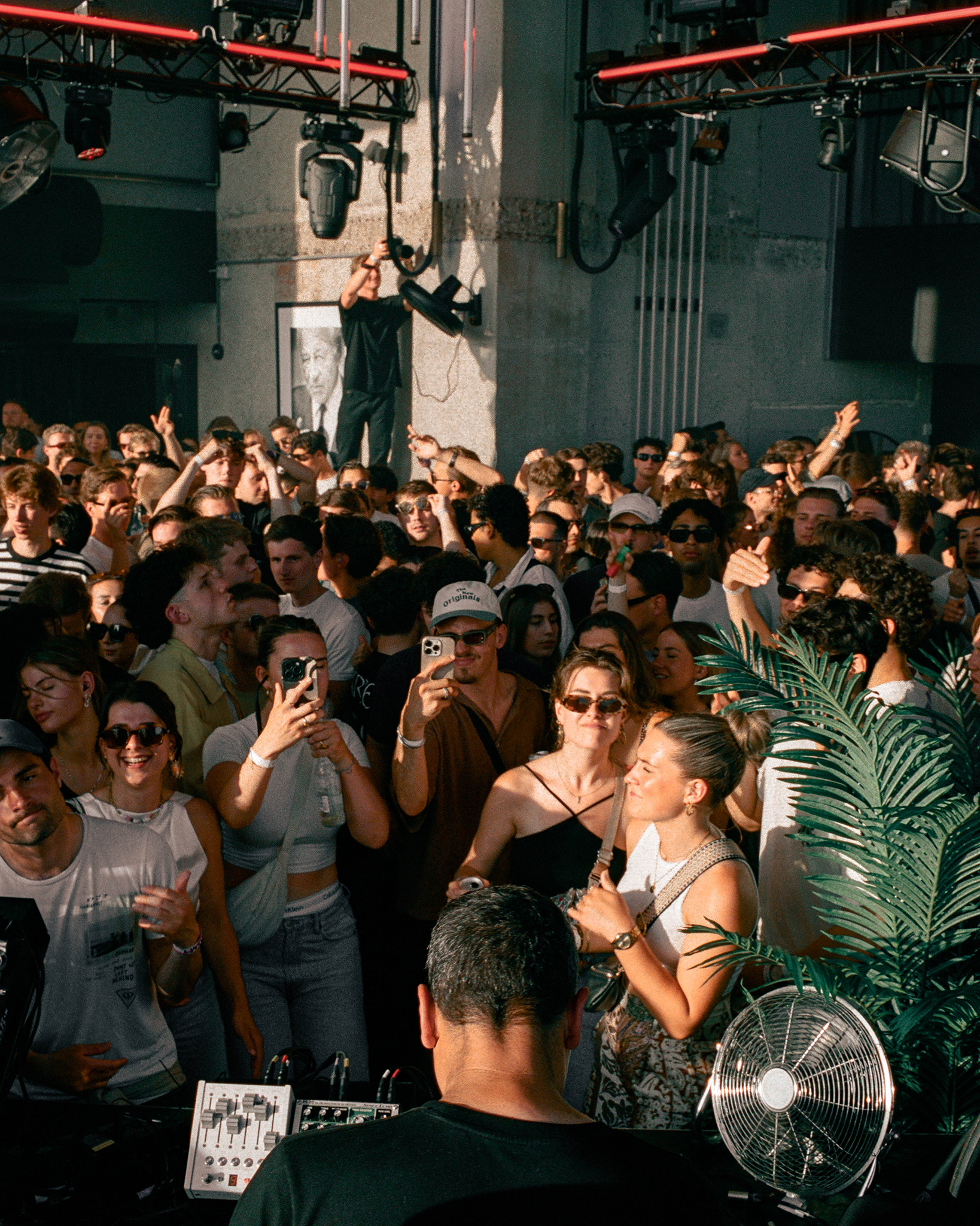 Levensechte kunstplanten gebruikt als decoratie op diverse evenementen, die zorgen voor een stijlvolle en onderhoudsvrije groene sfeer.
			  