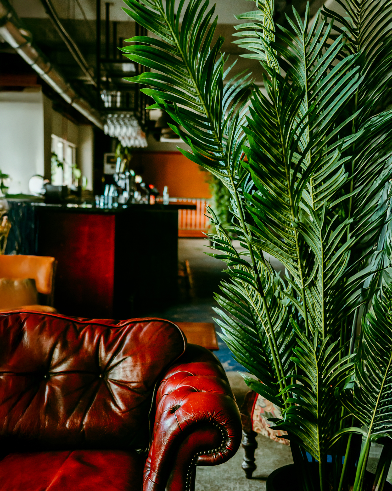 Levensechte kunstplanten gebruikt als decoratie op diverse evenementen, die zorgen voor een stijlvolle en onderhoudsvrije groene sfeer.
				  