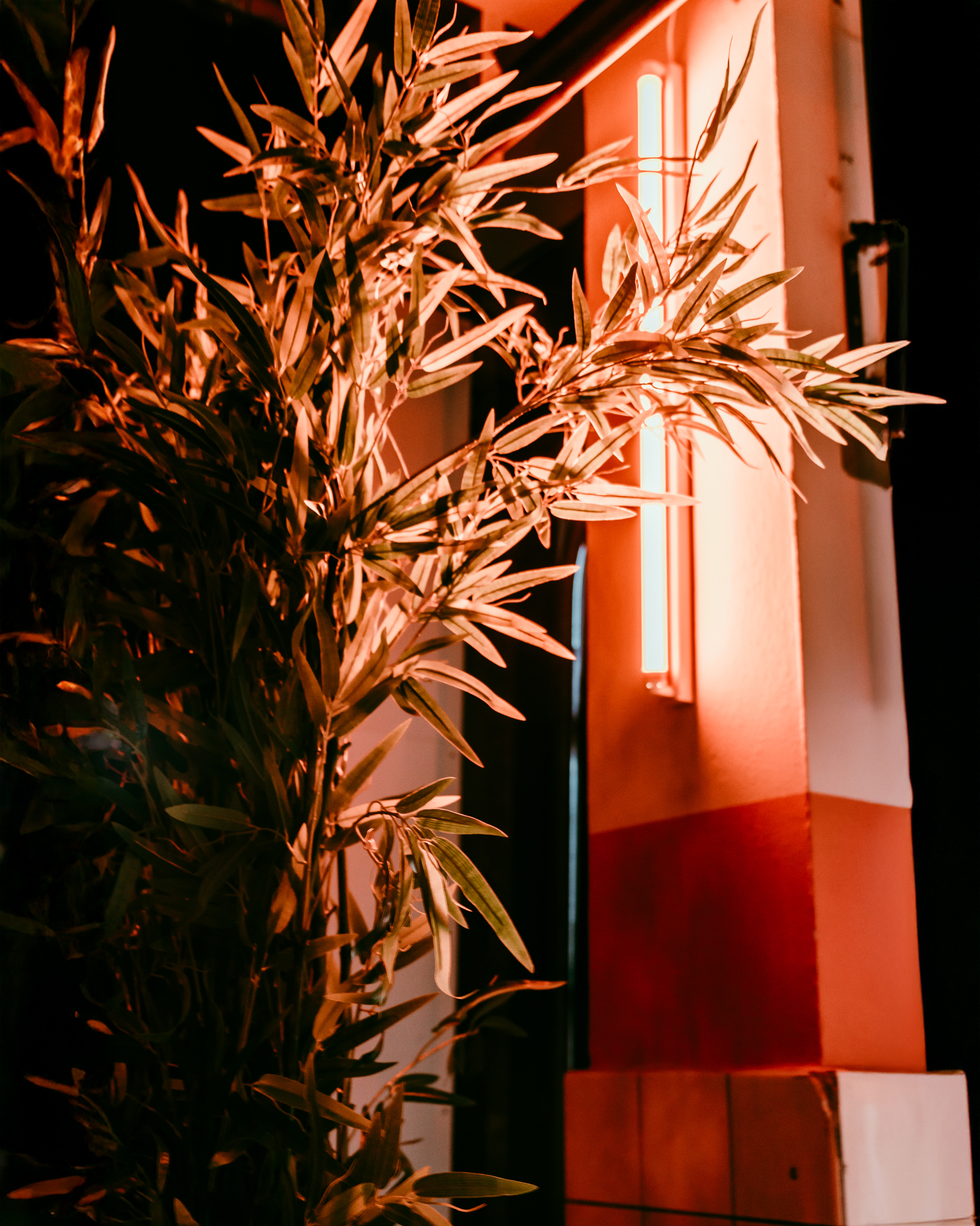 Levensechte kunstplanten gebruikt als decoratie op diverse evenementen, die zorgen voor een stijlvolle en onderhoudsvrije groene sfeer.
					  