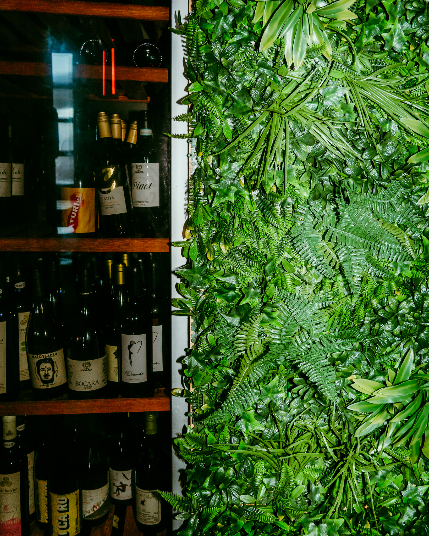 Levensechte kunstplanten gebruikt als decoratie op diverse evenementen, die zorgen voor een stijlvolle en onderhoudsvrije groene sfeer.
					  