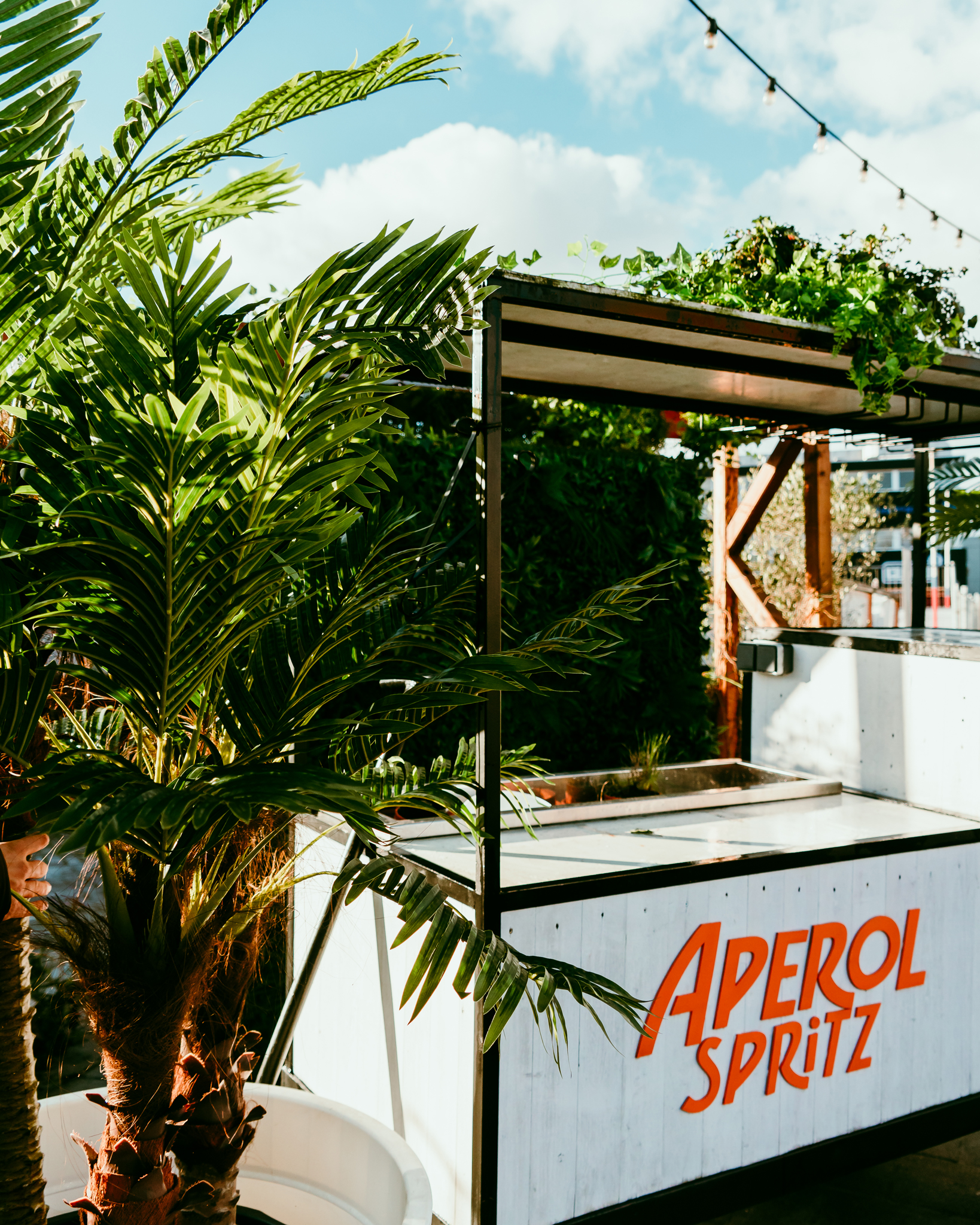 Levensechte kunstplanten gebruikt als decoratie op diverse evenementen, die zorgen voor een stijlvolle en onderhoudsvrije groene sfeer.
					  