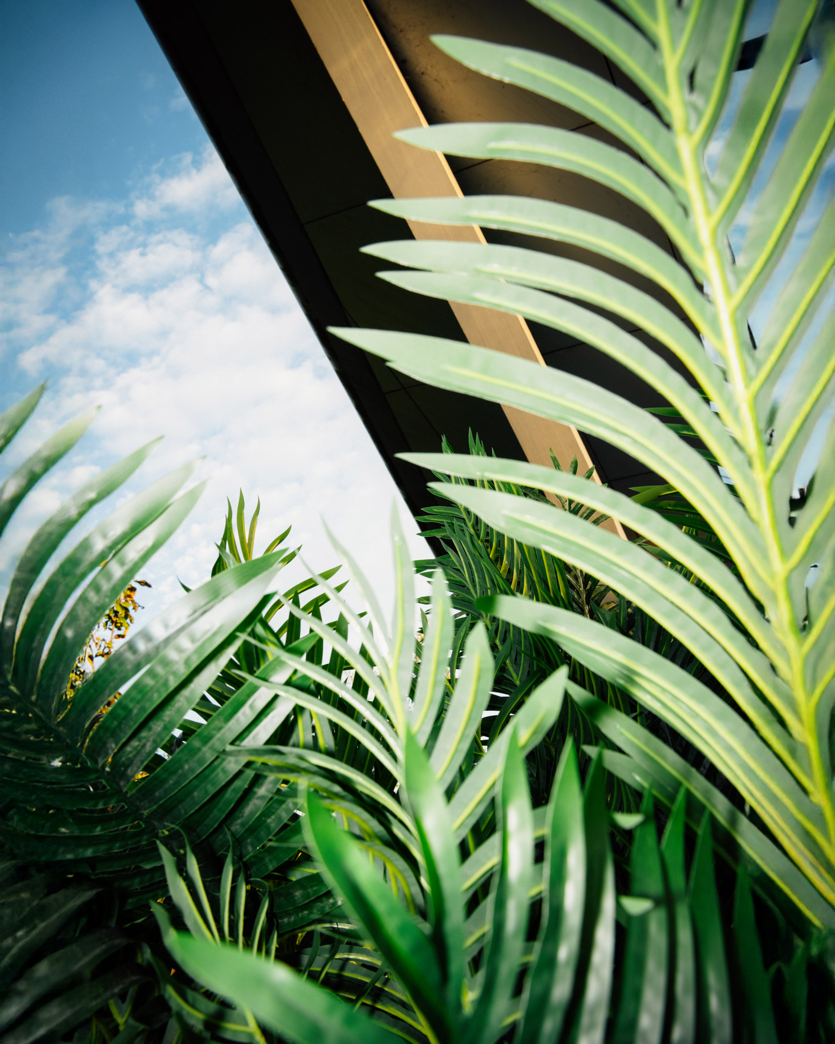 Levensechte kunstplanten gebruikt als decoratie op diverse evenementen, die zorgen voor een stijlvolle en onderhoudsvrije groene sfeer.
			  