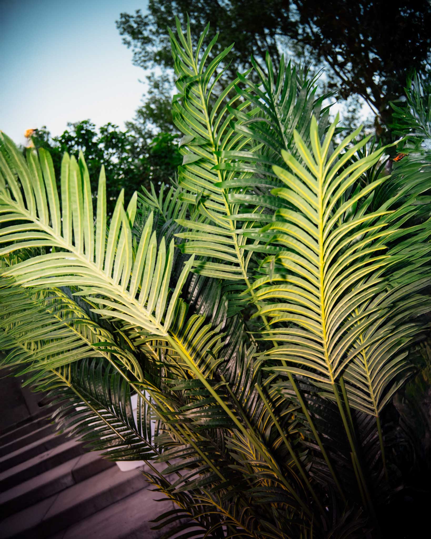 Levensechte kunstplanten gebruikt als decoratie op diverse evenementen, die zorgen voor een stijlvolle en onderhoudsvrije groene sfeer.
				  