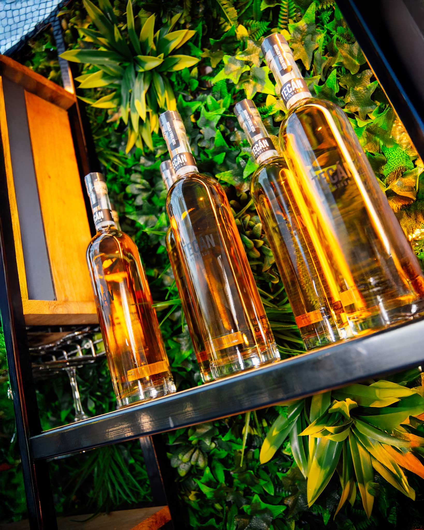 Levensechte kunstplanten gebruikt als decoratie op diverse evenementen, die zorgen voor een stijlvolle en onderhoudsvrije groene sfeer.
					  