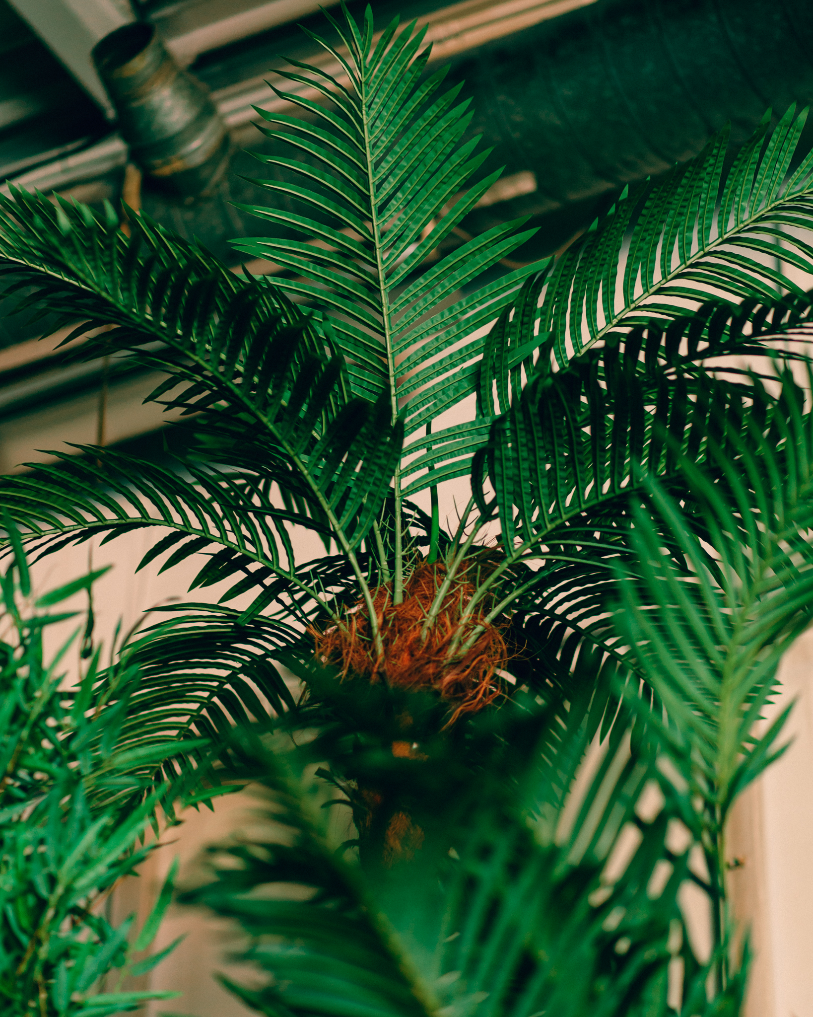 Levensechte kunstplanten gebruikt als decoratie op diverse evenementen, die zorgen voor een stijlvolle en onderhoudsvrije groene sfeer.
				  