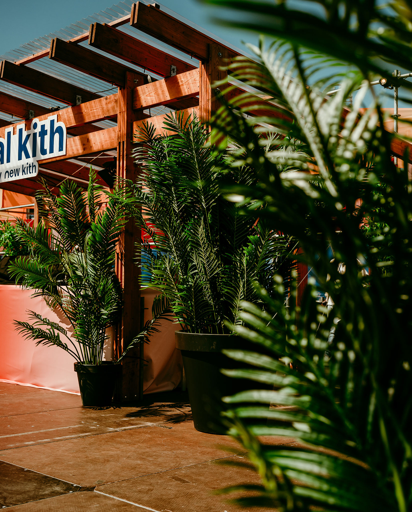 Levensechte kunstplanten gebruikt als decoratie op diverse evenementen, die zorgen voor een stijlvolle en onderhoudsvrije groene sfeer.
				  