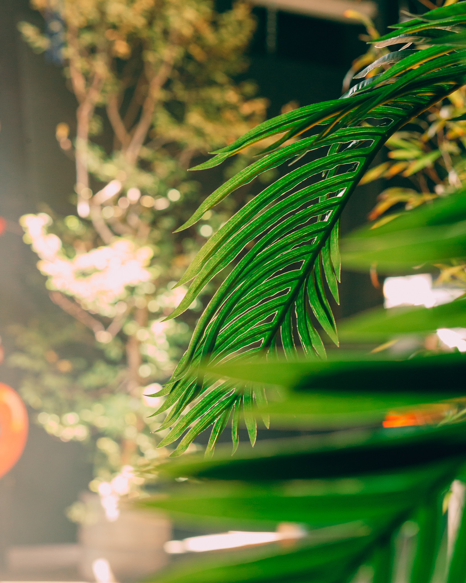 Levensechte kunstplanten gebruikt als decoratie op diverse evenementen, die zorgen voor een stijlvolle en onderhoudsvrije groene sfeer.
			  